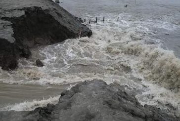 পাইকগাছায় শিবসা নদীর প্রবল জোয়ারে বেঁড়িবাধ ভেঙে পোল্ডার লবন পানি ঢুকছে