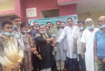 পরিবেশ ভারসাম্য টিকিয়ে রাখতে গাছ লাগানোর বিকল্প নেই.. এমপি  বাবু