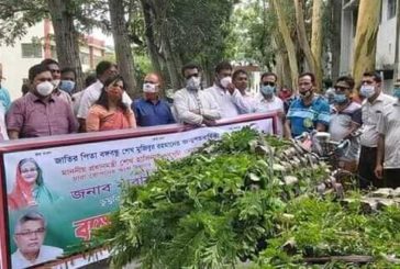 ডুমুরিয়ায় এমপি নারায়ণ চন্দ্রে'র গাছের চারা বিতরণ