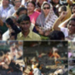 স্প্লিন্টার বয়ে বেড়ানো মানুষেরা বিচার চান কুশীলবদের