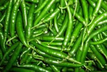 কলারোয়ায় কাঁচামরিচের বাজার অস্থির