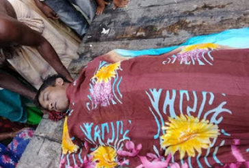 কলারোয়ায় বয়েরডাঙ্গায় গাছে চাপা পড়ে এক শ্রমিক নিহত