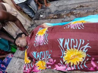 কলারোয়ায় বয়েরডাঙ্গায় গাছে চাপা পড়ে এক শ্রমিক নিহত