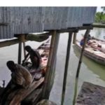 ১ লা সেপ্টেম্বর থেকে সুন্দরবনে প্রবেশের পারমিট পেতে চলেছে উপকূলের জেলেরা