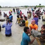 পাইকগাছায় বাঁধ ভেঙ্গে ৩টি গ্রাম প্লাবিত মাছ ও ধানের ব্যাপক ক্ষতি