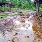 কলারোয়ার গোয়ালচাতর কাঁচাবাজারের বেহাল দশাঃ দেখার কেউ নেই