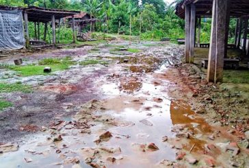 কলারোয়ার গোয়ালচাতর কাঁচাবাজারের বেহাল দশাঃ দেখার কেউ নেই