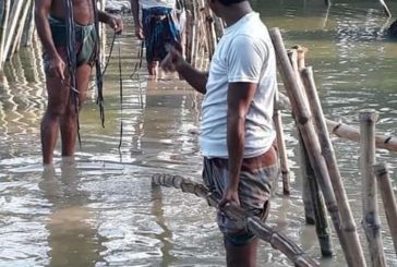আম্ফান পরবর্তী রাস্তা সংস্কারে এলাকাবাসীর স্বেচ্ছাশ্রম