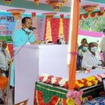 কলারোয়ায় বালিয়াডাঙ্গা মুক্তিযুদ্ধের স্মৃতিচারণ অনুষ্ঠিত