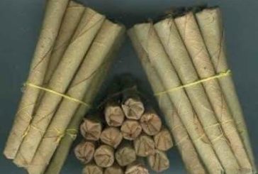 কলারোয়ায় পাতার বিড়ি উদ্ধার