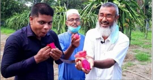 ডুমুরিয়ায় ড্রাগন চাষে ভালো ফলনে কৃষকের মুখে হাসি