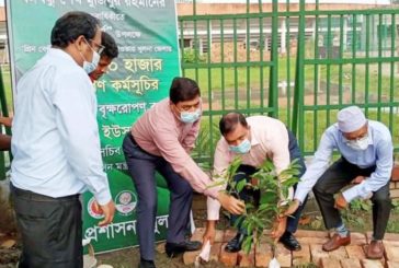 মুজিবশতবর্ষ উপলক্ষে খুলনায় জনপ্রশাসন সচিবের বৃক্ষ রোপণ