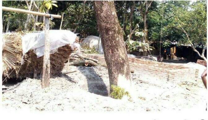 ডুমরিয়ায় বিএনপির সভাপতির বিরুদ্ধে সরকারি গাছ কাটার অভিযোগ