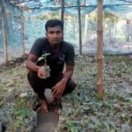 চুঁইঝালের চারা চাষ করে লাভবান হচ্ছেন ডুমরিয়া সুব্রুত দাস