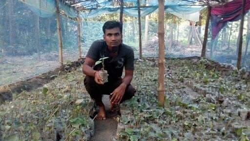 চুঁইঝালের চারা চাষ করে লাভবান হচ্ছেন ডুমরিয়া সুব্রুত দাস