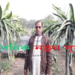 রাজগঞ্জে পরীক্ষামূলক ড্রাগন চাষে সফল মাদ্রাসা শিক্ষক