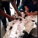 শার্শায় অভিনব কায়দায় ফেনসিডিল ব্যবসা,আটক ২।