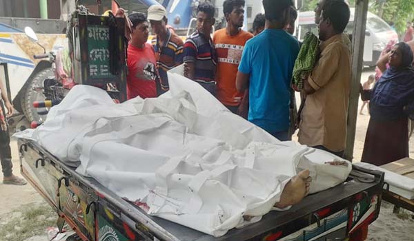 খুলনা-ঢাকা মহাসড়কের ফরিদপুরে ট্রাক-মাইক্রোবাস সংঘর্ষে নিহত ৮