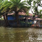 মোরেলগঞ্জে ১৫ হাজার পরিবার পানিবন্দি, চরম দুর্ভোগ ফেরিঘাটে