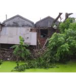 আখড়াখোলা বাজারে প্রকাশ্যে সরকারি গাছ কেটে অবৈধভাবে দোকান নির্মান সহযোগতিায় তহশিলদার