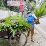 বঙ্গবন্ধুর শাহাদাত বার্ষিকীতে তিন হাজার গাছ লাগালেন স্কুল শিক্ষক