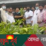 পাইকগাছায় শোক দিবস উপলক্ষ্যে গাছের চারা বিতরণ