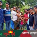 পাইকগাছার হরিঢালী আদর্শ যুবসংঘের উদ্যোগে বৃক্ষ রোপন