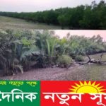 পাইকগাছার শিবসা নদীর তীর যেন হাতে আঁকানো ছবি