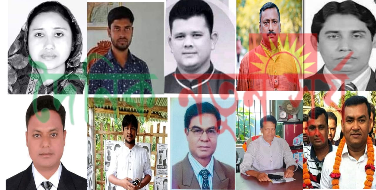 কলারোয়া উপজেলার ১০টি ইউনিয়নে বেসরকারিভাবে নির্বাচিত হলেন যারা