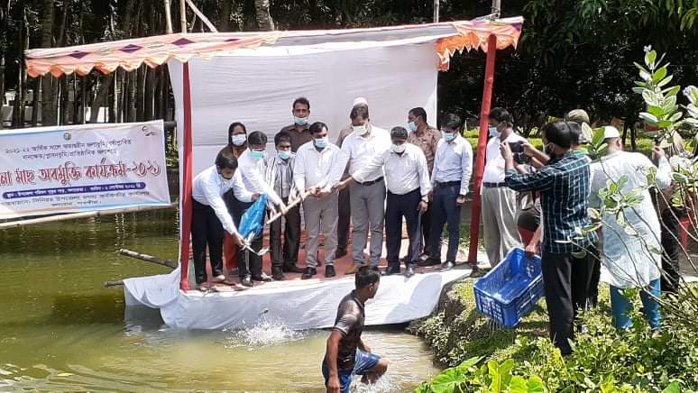 কলারোয়ায় ৫৩০ কেজি পোনামাছ অবমুক্ত