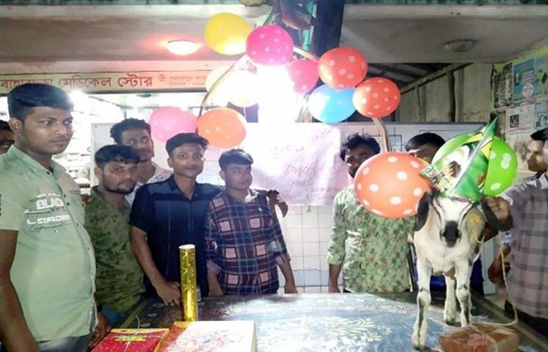 ছাগলের জন্মদিনে আতশবাজি, কেক কাটা ও মিষ্টি বিতরণ