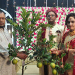বিয়েতে বর-কনেকে উপহার  দিলেন মাল্টাসহ গাছ