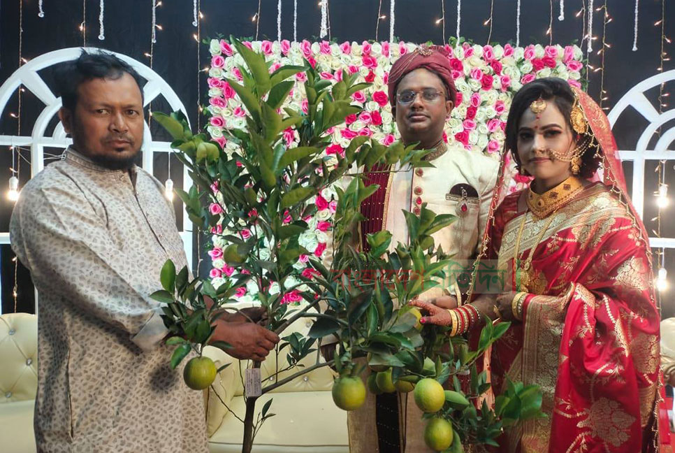 বিয়েতে বর-কনেকে উপহার  দিলেন মাল্টাসহ গাছ