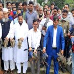 মোল্লাহাটে শিকারিদের হাত থেকে উদ্ধার করা ৭০টি অতিথি পাখি অবমুক্ত