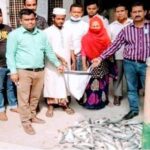 পাইকগাছায় জাটকা রক্ষায় অভিযান, জব্দ কৃত ৩০ কেজি জাটকা এতিমখানায় বিতরণ
