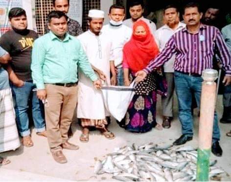পাইকগাছায় জাটকা রক্ষায় অভিযান, জব্দ কৃত ৩০ কেজি জাটকা এতিমখানায় বিতরণ