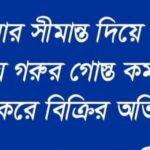 সাতক্ষীরার সীমান্ত দিয়ে আসছে ভারতীয় গো-মাংস, কমদামে ফেরি করে বেচাকেনা