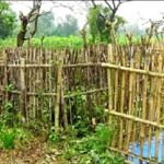 চুয়াডাঙ্গায় চাঁদা দিতে না পারায় সরকারি কবরস্থানে দাফন হয়নি লাশের