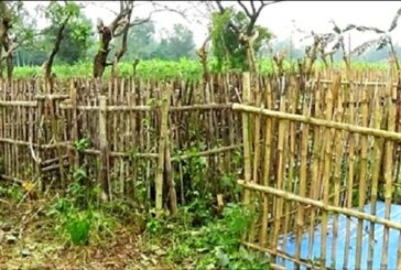 চুয়াডাঙ্গায় চাঁদা দিতে না পারায় সরকারি কবরস্থানে দাফন হয়নি লাশের