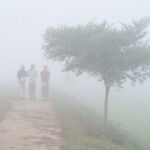 তাপমাত্রা কমে বাড়বে শীতের তীব্রতা