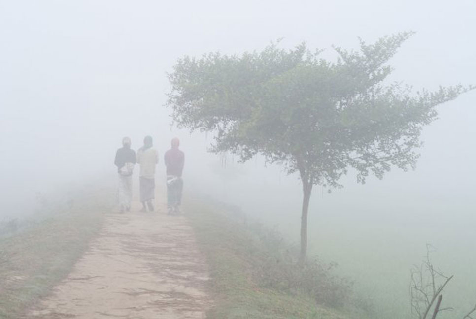তাপমাত্রা কমে বাড়বে শীতের তীব্রতা