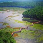 নান্দনিক সৌন্দর্যে ভরপুর ‘আশুরার বিল’