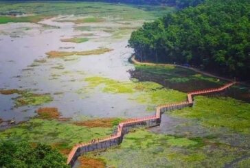 নান্দনিক সৌন্দর্যে ভরপুর ‘আশুরার বিল’