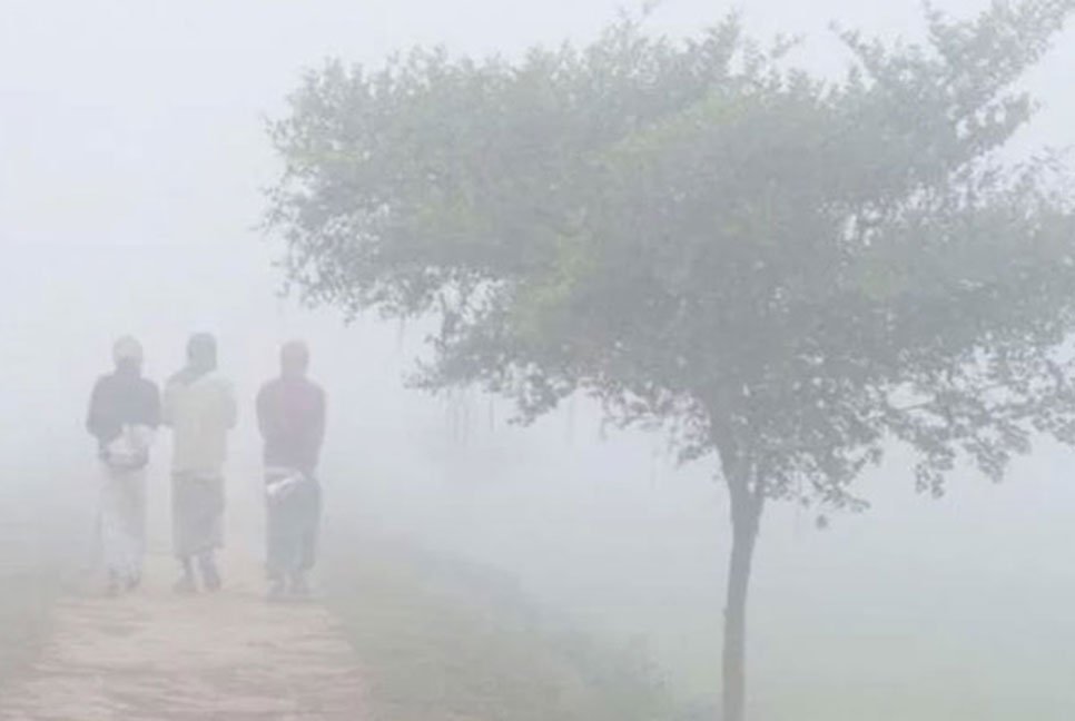 যেসব জায়গায় বইতে পারে শৈত্যপ্রবাহ