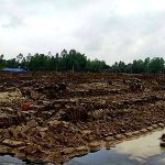 বিরামপুরে হঠাৎ বৃষ্টিতে কাঁচা ইট নষ্ট, লক্ষ লক্ষ টাকার ক্ষতি