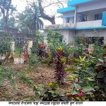 কলারোয়া উপজেলা স্বাস্থ্য কমপ্লেক্সে সুচিকিৎসা মেলে মনও ভাল হয়