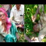 চুয়াডাঙ্গায় ভূট্টা ক্ষেত থেকে দুইজনের মরদেহ উদ্ধার করেছে পুলিশ