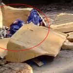 রাস্তার পাশে পড়েছিল দুই নবজাতকের মরদেহ