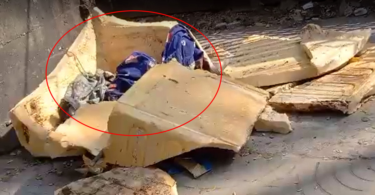 রাস্তার পাশে পড়েছিল দুই নবজাতকের মরদেহ