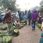কলারোয়ার পানের বরজ ব্যবসায়ীদের মাথায় হাত